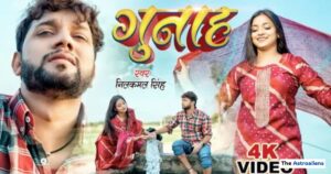 Social Media Presence & Public Image